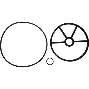 Těsnění torické+středové k 24837