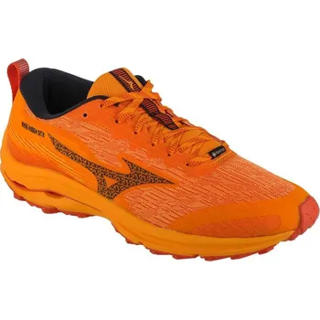 Pánská treková obuv Boty Mizuno Wave Rider GTX M J1GC227902 39