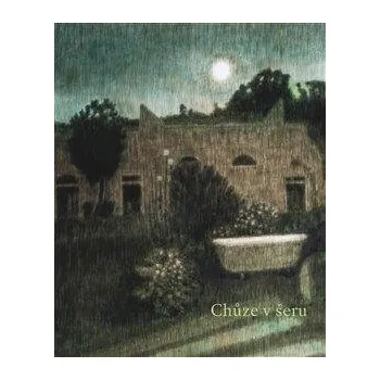 Umění Alžběta Skálová: Chůze v šeru a jiné příběhy