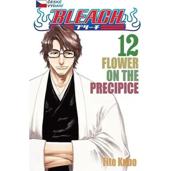 Bleach 12 - Flower on the Precipice Tite Kubo