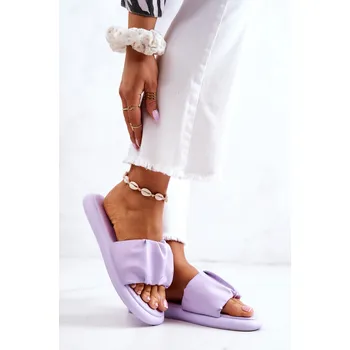 Dámské pantofle Dámské klasické pantofle Feline Barva: Fialová, Velikost: 38