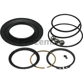 Gola sada Opravárenská sada uzávěru, SFT SH/S0, 1 3/8" (6), 1 3/8" (21), 435000328R