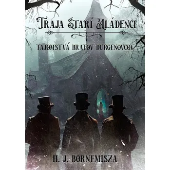 Kniha Tajomstvá bratov Durgenovcov