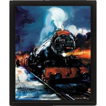 Obraz Harry Potter Obraz 3D - Bradavický expres