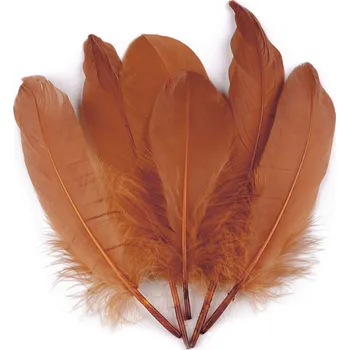 Husí peří délka 12-21 cm