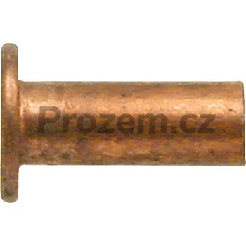 Nýt Sada měděných nýtů 100 ks, DIN 7338-B pro Deutz Fahr, Fendt, Steyr, 01118463, X443203576000, X443203578000