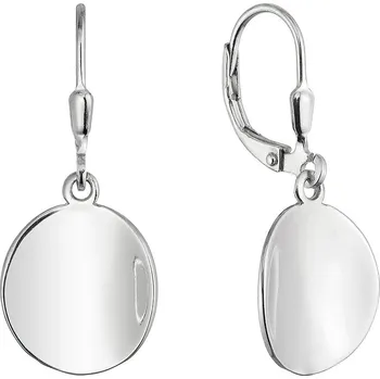 Šperk EVOLUTION GROUP CZ Stříbrné náušnice prohnuté placky - 61059