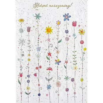 Přání k narozeninám CTS37