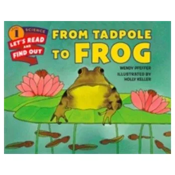 Kniha From Tadpole to Frog - Pfeffer, Wendy