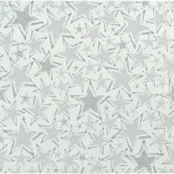 prostírání Vánoční látkový ubrousek Stelle 45x45 cm bílo-stříbrný, Sander