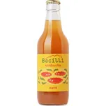 Bacilli Kombucha BIO maté 330 ml