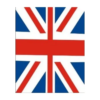 Polep vozidla Stickerbomb TLK-068 auto wrap fólie 152x1500cm - interiér/exteriér