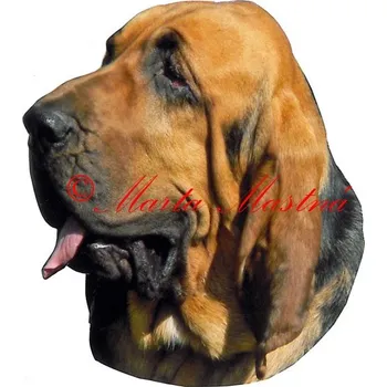 Samolepka bladhaund, bloodhound archiv 522