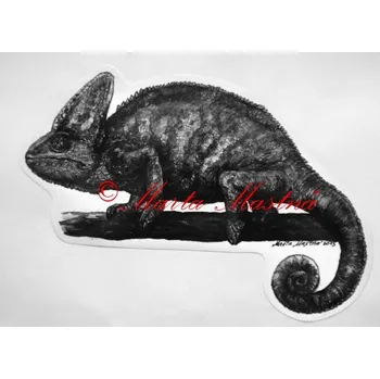 Samolepka chameleon - archiv c472 - Malá - přibližně jako pohlednice