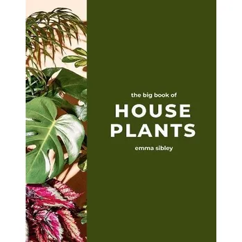 Cizojazyčná kniha Big Book of House Plants - Sibley, Emma