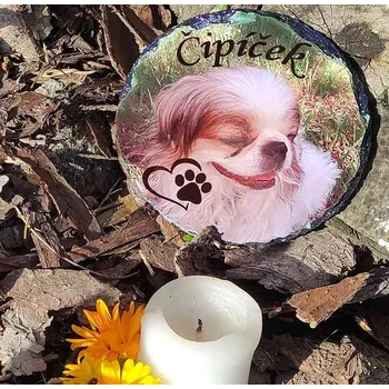 Smuteční dekorace Barevný náhrobek pro psa z kamene, kulatý 30cm, stojánek