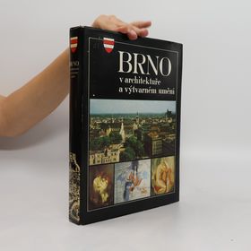 Obrázek k inzerátu: Brno v architektuře a výtvarném umění