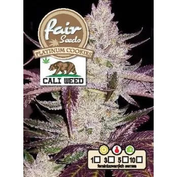 Semeno Fair seeds Platinum Cookies Počet ks Feminizované: 3