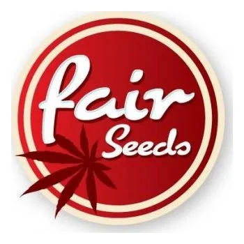 Semeno Fair seeds Gorilla ZKITTLEZ Počet ks Feminizované: 5