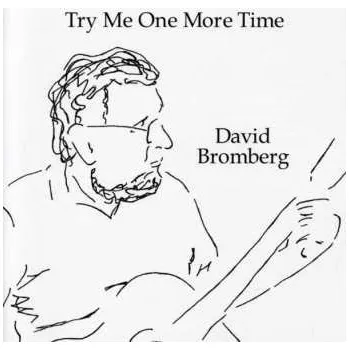 Zahraniční hudba CD David Bromberg: Try Me One More Time 2007
