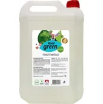 Real Green tekuté mýdlo 5 kg