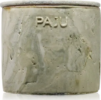 Svíčka PAJU Julian Green vonná svíčka Papi 13 cm 1 ks