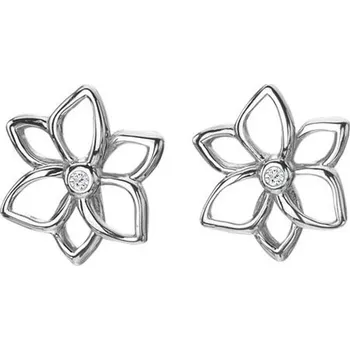 Náušnice Stříbrné náušnice Hot Diamonds Diamond Amulets DE711