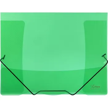 Archivační box Sloha s gumou průhledná Lines zelená