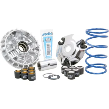 Motor pro motocykl Polini Variátor Maxi Hi-Speed Piaggio 125 3V P.33245