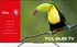 Televizor TCL 55" QLED (55C715)