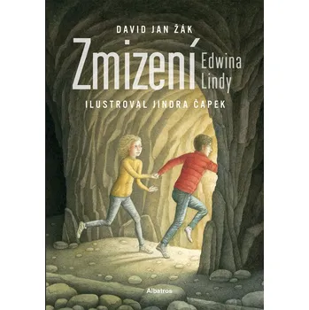 Kniha Zmizení Edwina Lindy - David Jan Žák (E-Kniha)