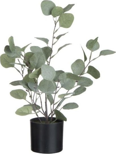 Dekorace Eucalyptus v květináči - Ø12*43cm