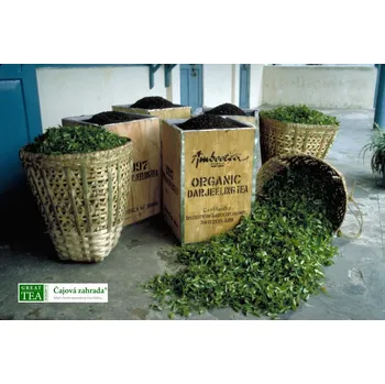 Plakát Čajová zahrada Plakát Čajové bedny