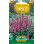 Nohel Garden Kyprej Vrbovitý růžový…