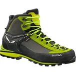 Salewa MS Crow GTX Cactus/Sulphur Spring