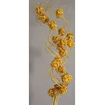 Curly ting with ball žlutá