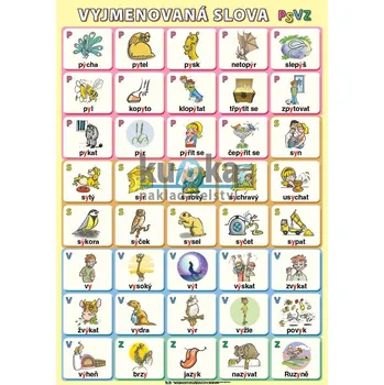 Český jazyk Vyjmenovaná slova PSVZ XL (100x70 cm)