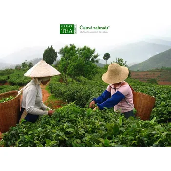 Horký nápoj Čajová zahrada Plakát Česačky čaje