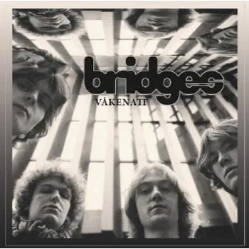 Zahraniční hudba Bridges - Vakenatt (CD, 9029517992/M)