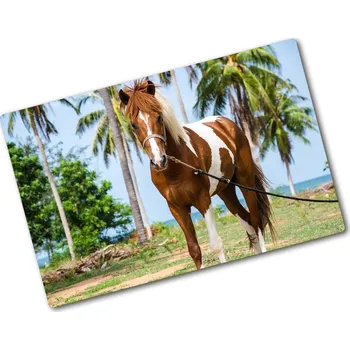 Kuchyňské prkénko Kuchyňská deska skleněná Strakatý kůň