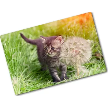 Kuchyňské prkénko Kuchyňská deska skleněná Kočka a pampeliška
