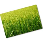 Deska na krájení skleněná Rýžové pole