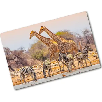 Kuchyňské prkénko Kuchyňská deska skleněná