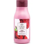 Biofresh Royal Rose regenerační šampon…