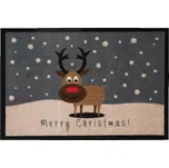 Hanse Home Collection Rohožka Printy…