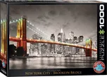 Eurographics New York City Brooklyn…