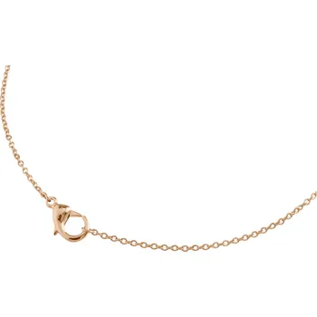 Náhrdelník Náhrdelník BOCCIA TITANIUM 08048-0342 Délka: 42