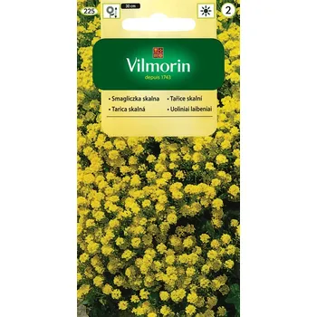 Semeno Tařice skalní (žlutá)