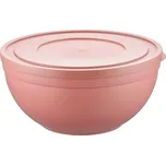 Orion Kapa mísa s poklopem 25 cm