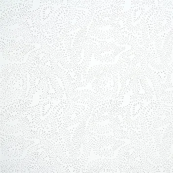 Kazetový podhled OWA premium Sternbild 625x625x15mm, hr.6